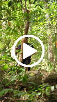 BIB:  <button type="button" onclick="openModal(27587915)" class="btn btn-primary btn-sm float-right" data-toggle="modal" data-target=".modal-high-quality">
                <i class="fa fa-download"></i> Download
                </button>